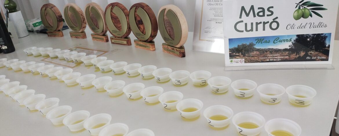 Tast d'olis d'Agrícola Mas Curró a la Fundació Santa Susanna de Caldes de Montbui