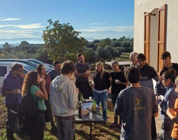 L'Institut Les Garberes aprofundeix en la cultura de l'oli d'oliva a Mas Curró L'Institut Les Garberes aprofundeix en la cultura de l'oli d'oliva a Mas Curró