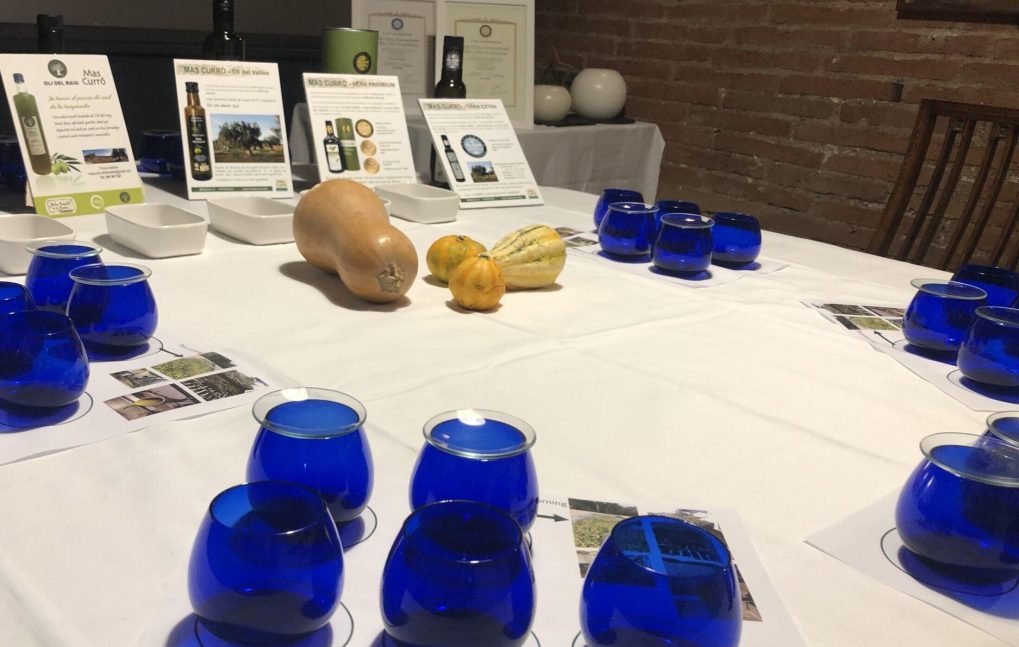 Difusión del oli de la variedad Vera dell Vallès (15)