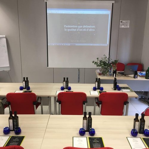 Difusión del oli de la variedad Vera dell Vallès (17)